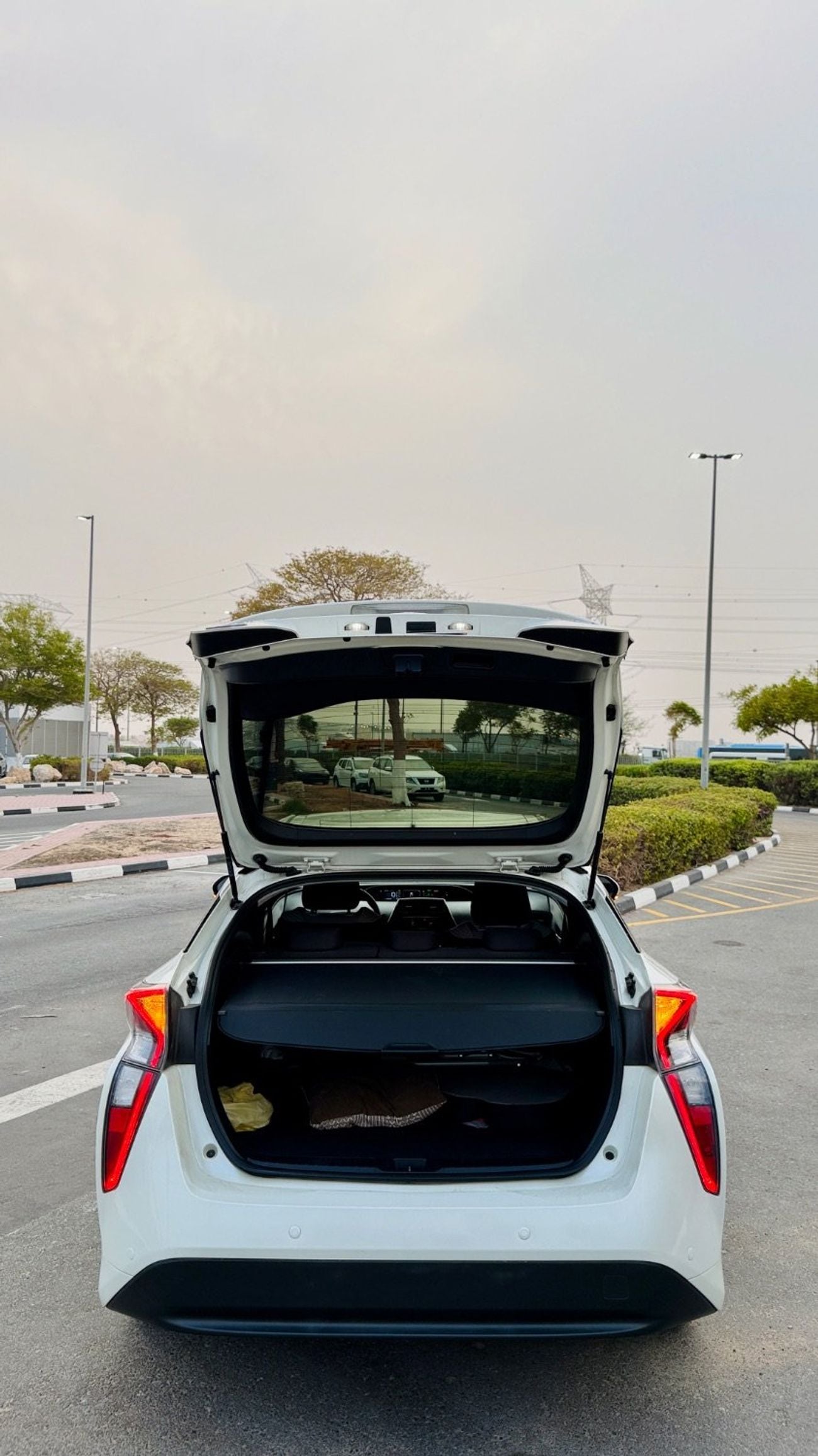 Toyota Prius ECO