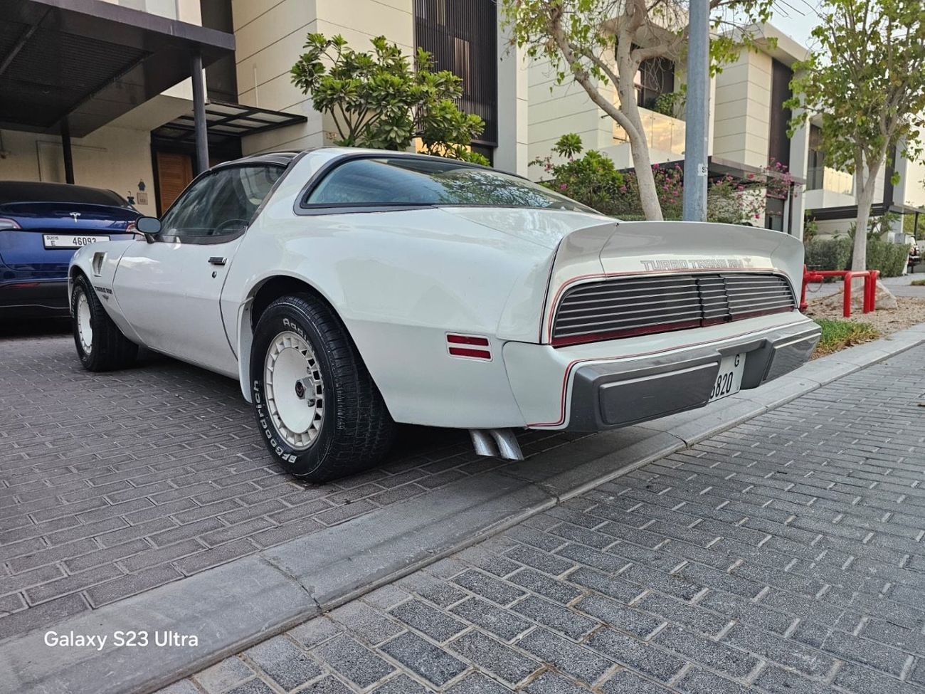 Pontiac Trans Am PACE CAR 301-4V 4.9L TURBO V8 | 1980 | Perfect Condition