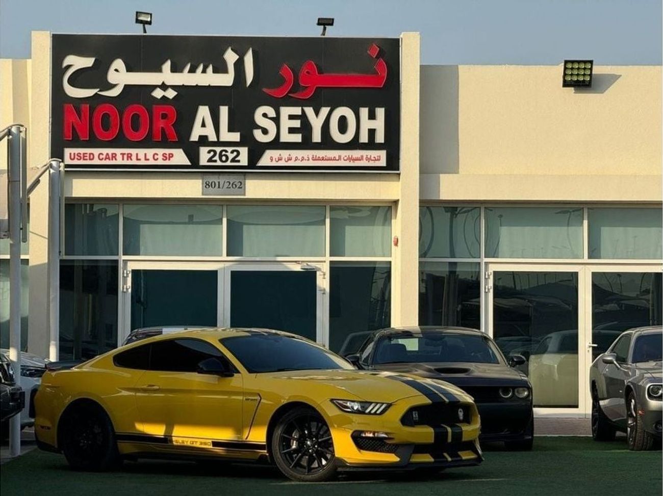 Ford Mustang Shelby GT350 FORD MUSTANG GT 350 SHELBY GCC 2017 ORIGINAL PAINT UNDER WARRANTY PERFECT CONDITION