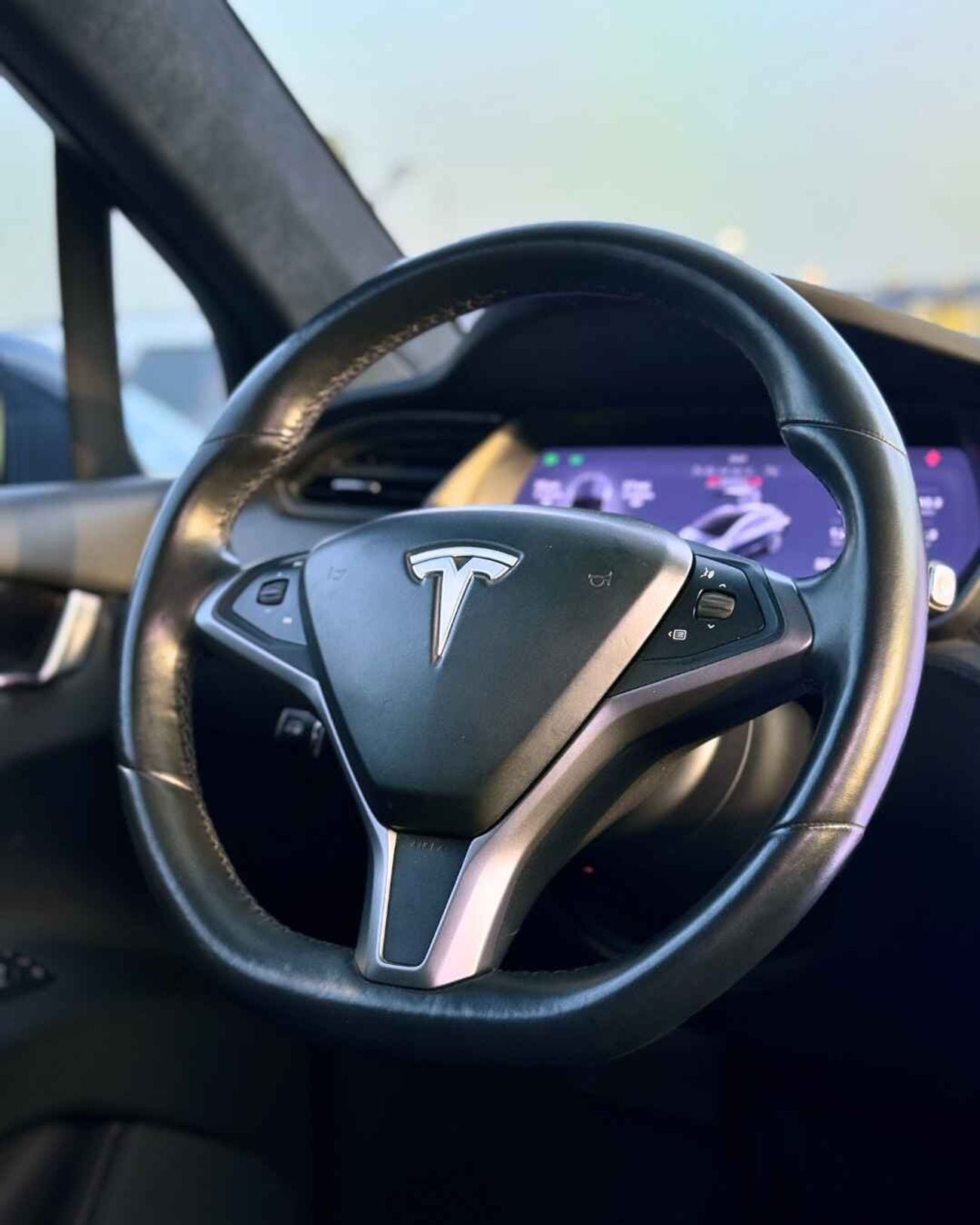 Tesla Model X P100D - 2018 MODEL