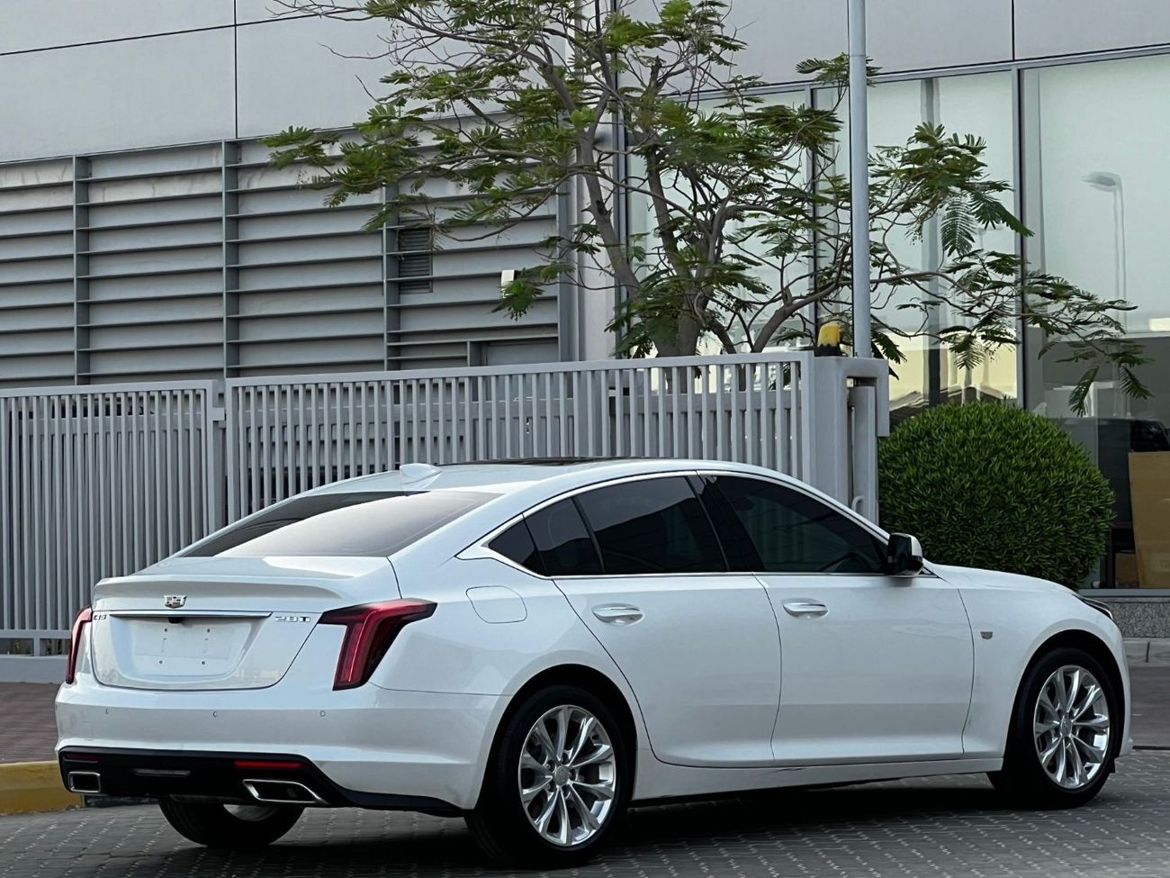 Cadillac CT5 CT5 2.8L V4 2023 // FSH // UNDER WARRANTY // ORGINAL PAINT // ACCIDENT FREE