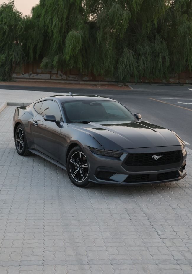 Ford Mustang STANDARD, миниатюра 16
