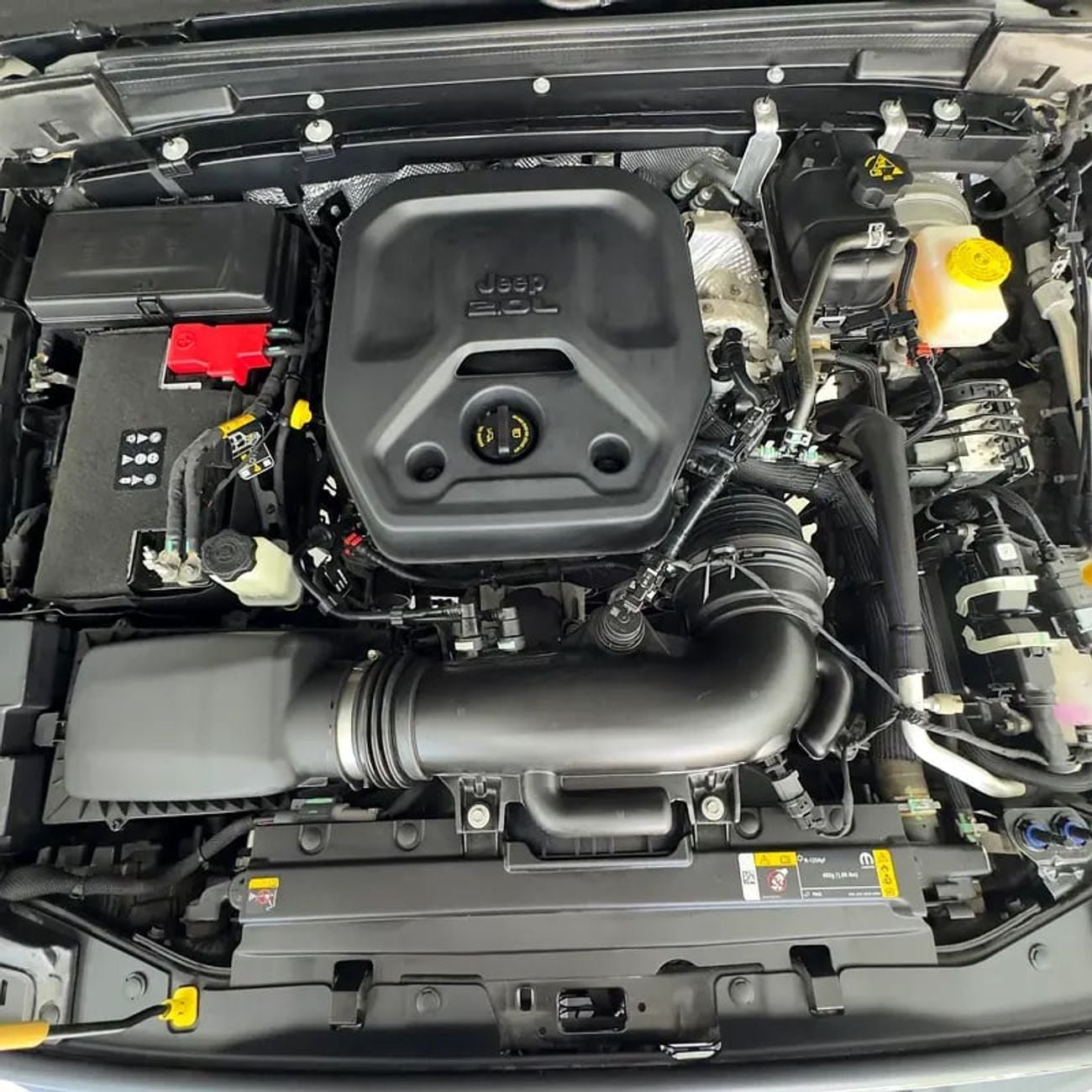 جيب رانجلر Sahara 3.6L M/T Sahara - Brand