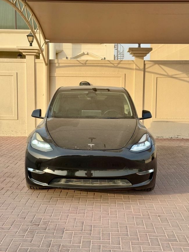 Tesla Model Y LONG RANGE, миниатюра 13