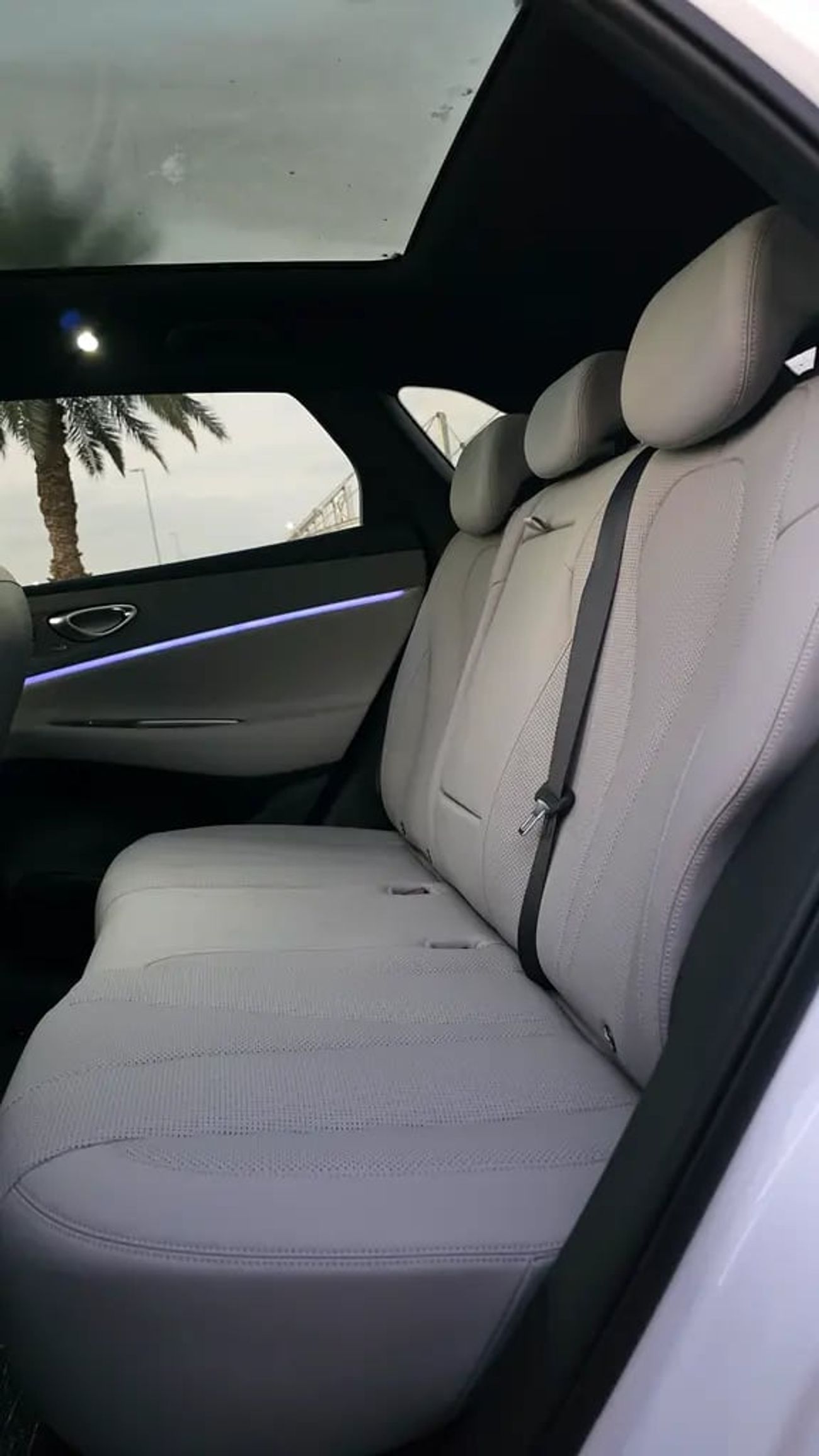 بي واي دي سيليون 7 06 Top Option | Zero km