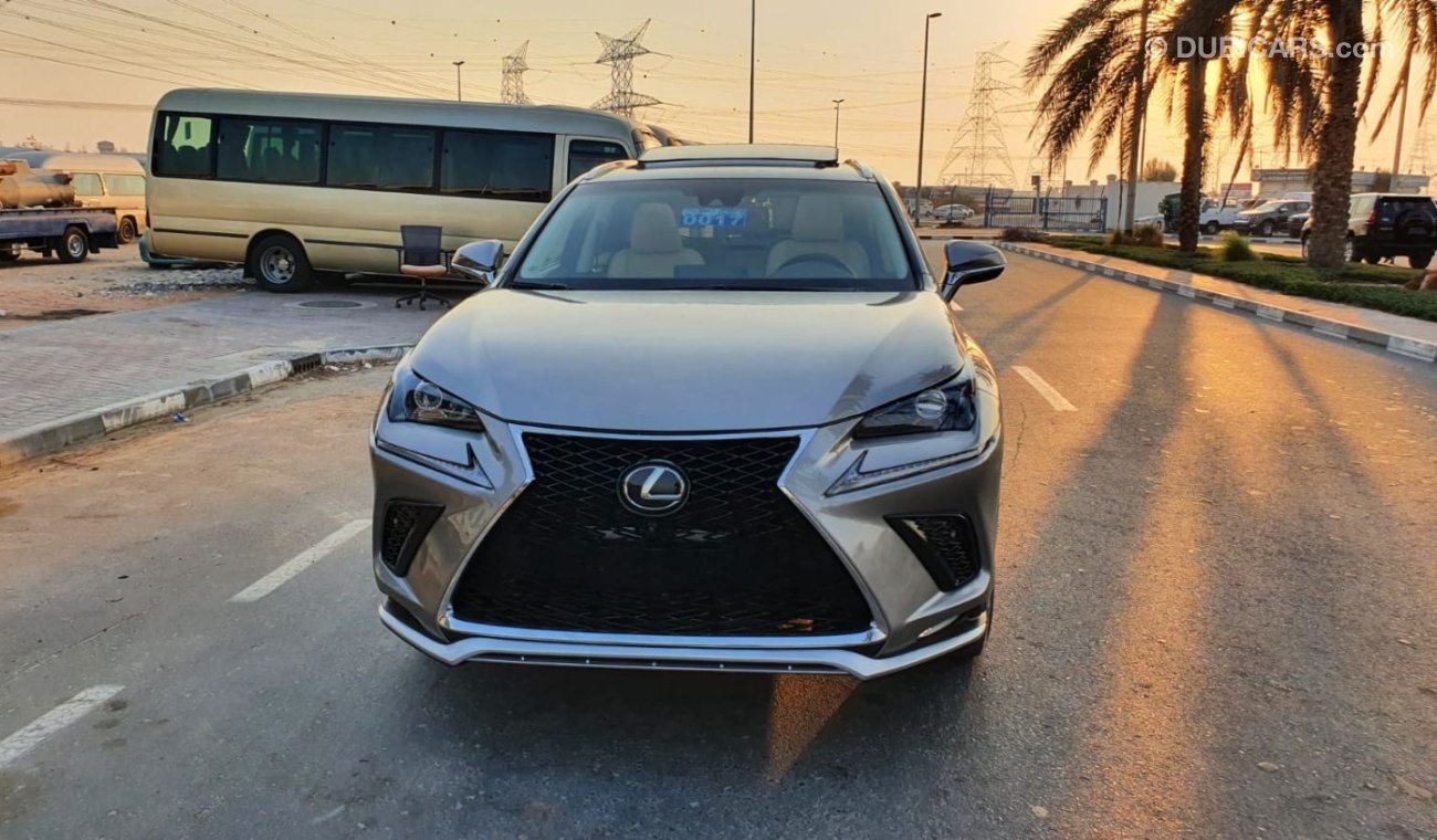 Lexus NX300 NX300 FULL OPTION 2019