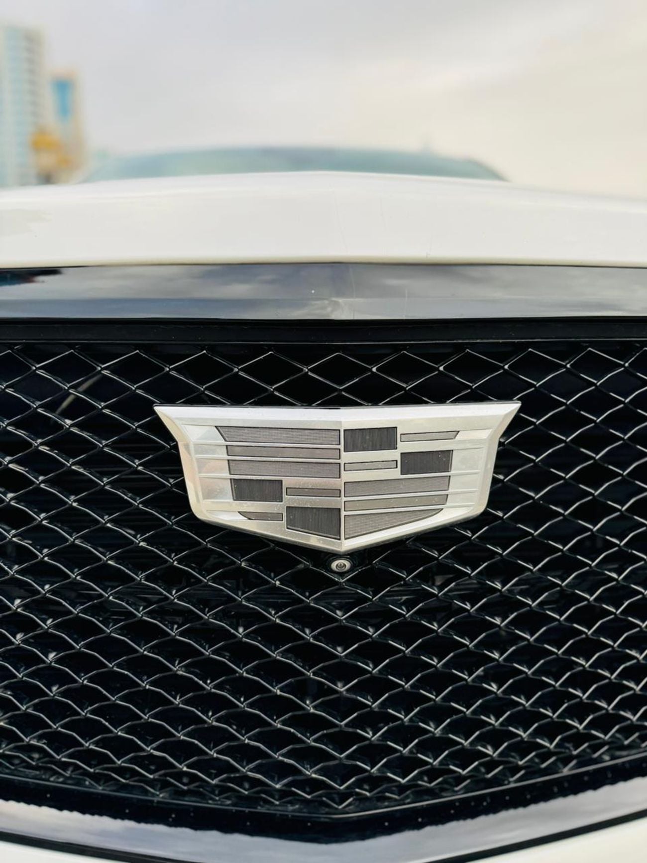 كاديلاك إسكالاد SPORT PLATINUM