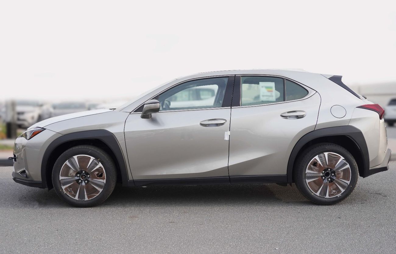 Lexus UX300h UX300 2.0L HEV
