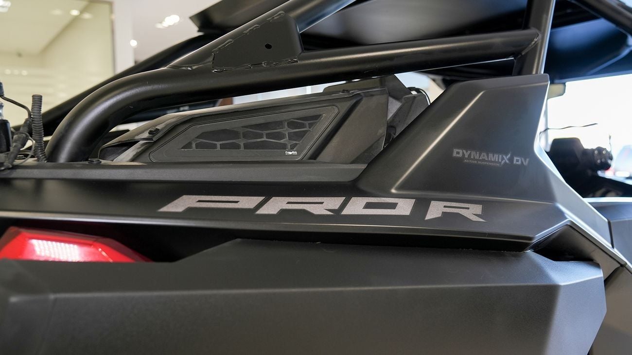 Polaris Dune Buggy STEALTH BLACK