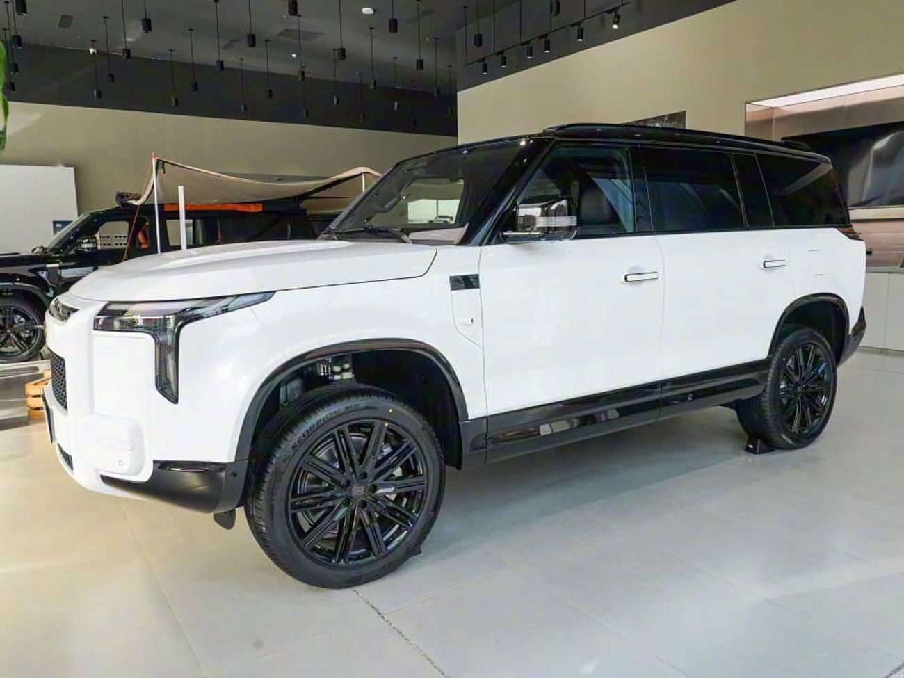 روكس أداماس VIP ADAMAS 6 SEATS  AND 7 SEETAS