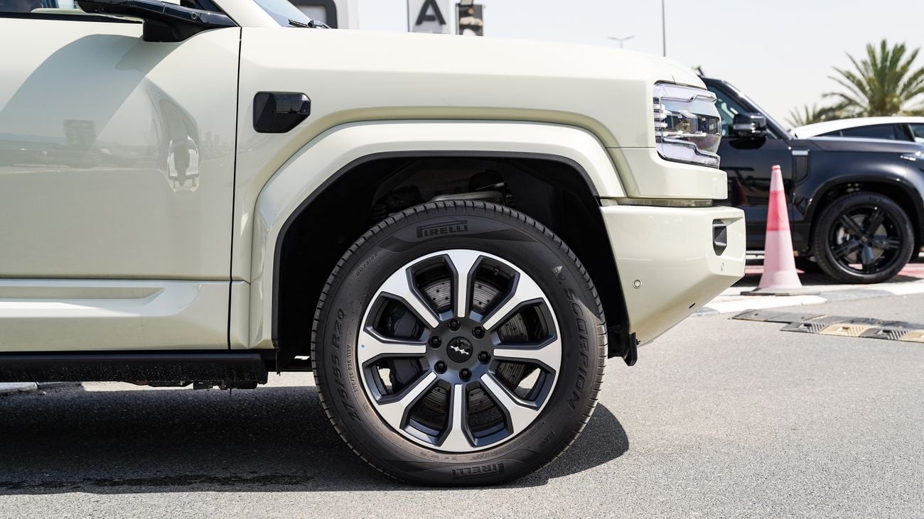 بي واي دي ليوبارد 5