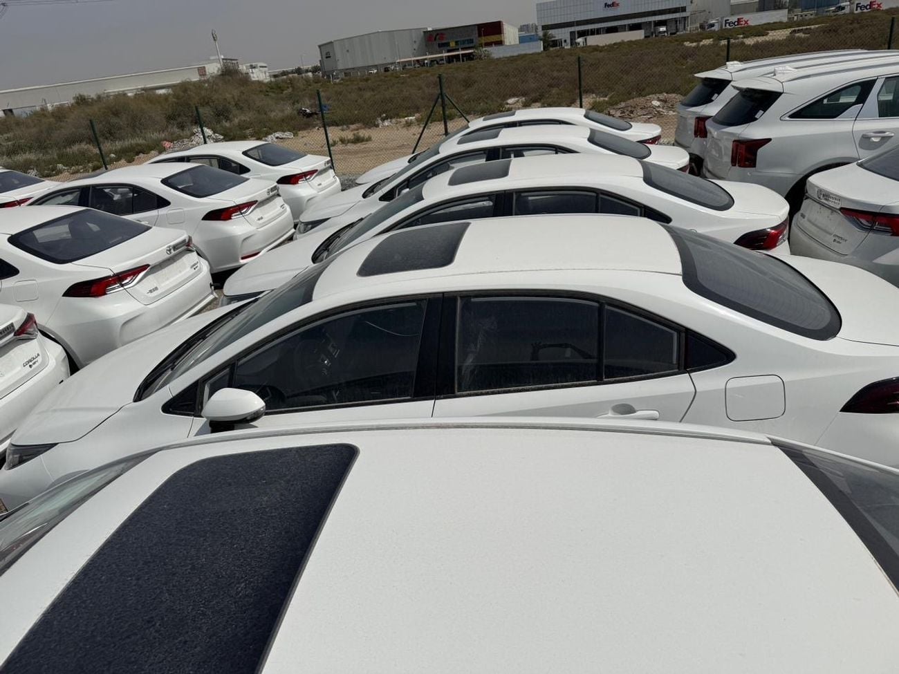 تويوتا كورولا