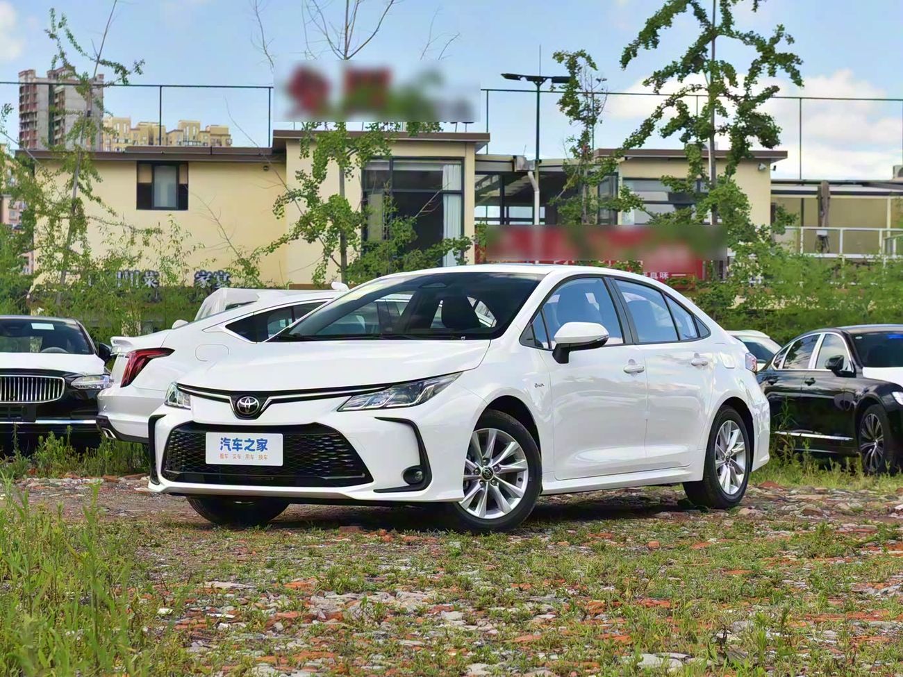Toyota Corolla Corolla 1.8L Hybrid Dual Engine Elite Edition with Sunroof | For Export