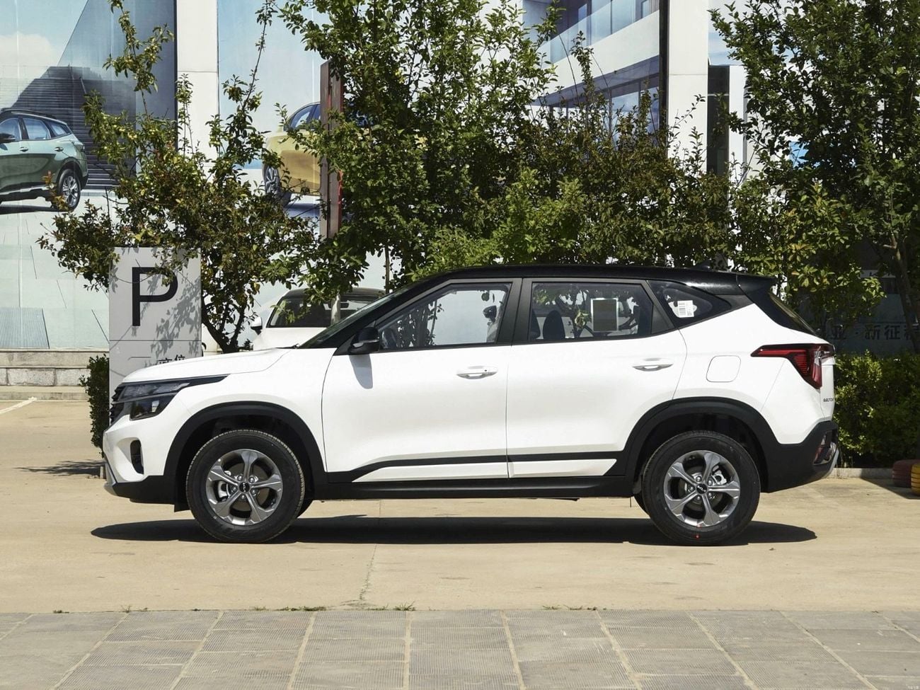 Kia Seltos white-black
