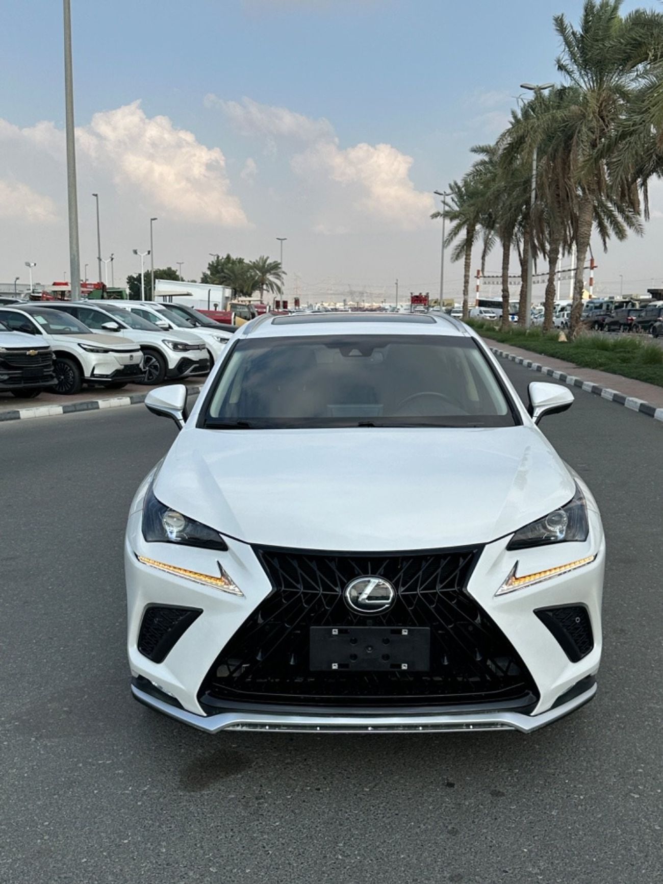 Lexus NX300 Excellence Lexus Nx300T full option 360 camera
