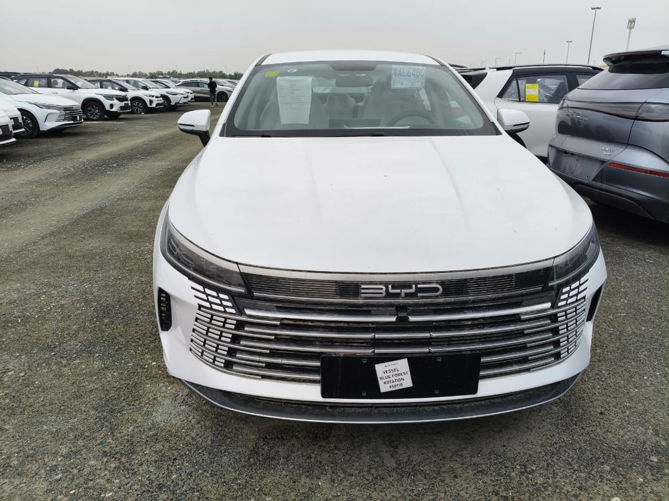 بي واي دي ديسترويار 05 Glory Edition DM-i 55KM Luxury Model