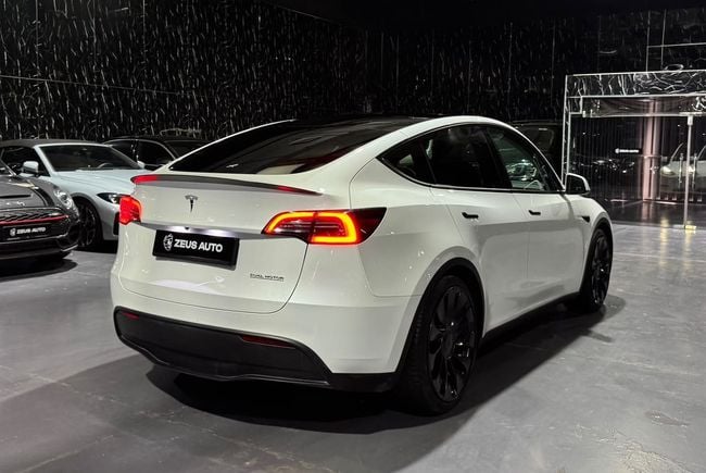 Tesla Model Y Performance (AWD), миниатюра 30