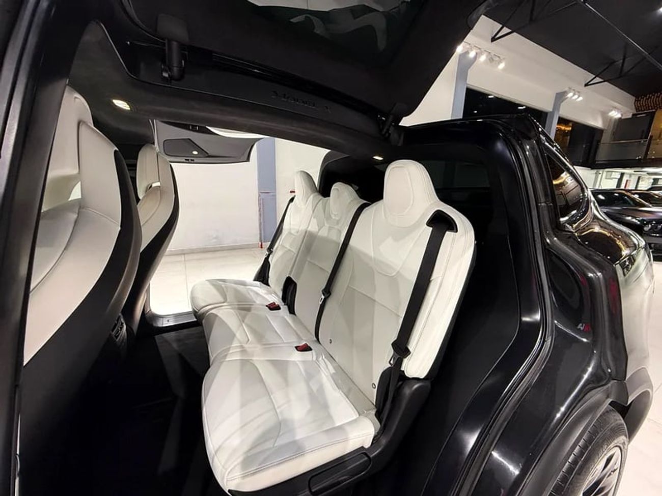 تسلا موديل اكس Long Range (AWD)