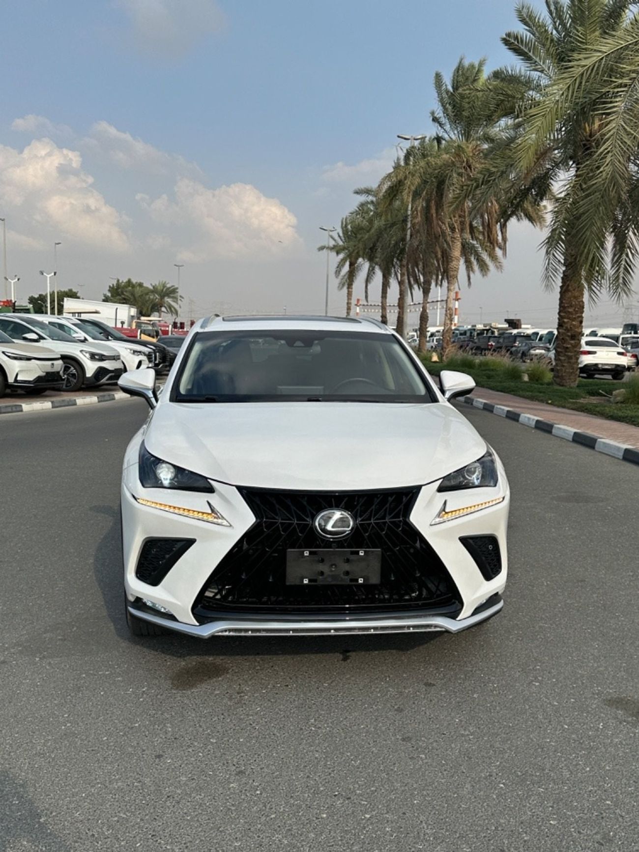 Lexus NX300 Excellence Lexus Nx300T full option 360 camera