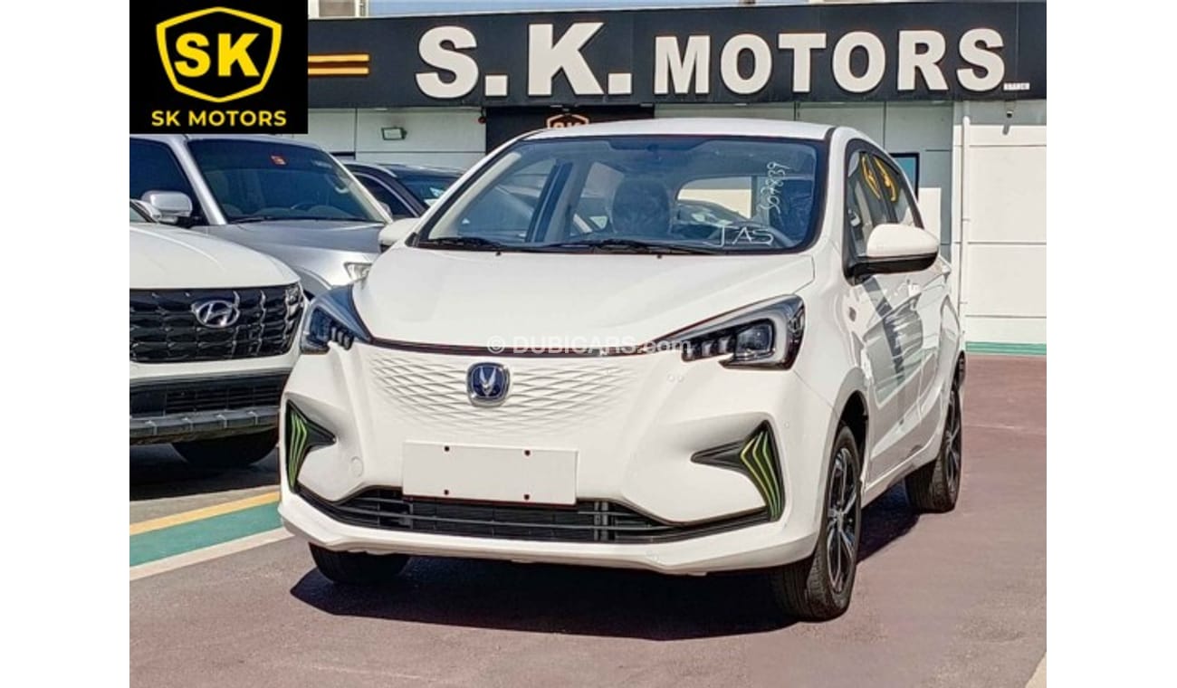 Changan Ben EStar Single Charger, Electric Car Full 2023 (CODE # 67927)
