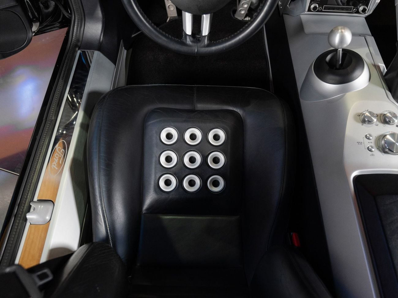 Ford GT Rare 1 of 14 Stripe Delete