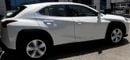 Lexus UX300h