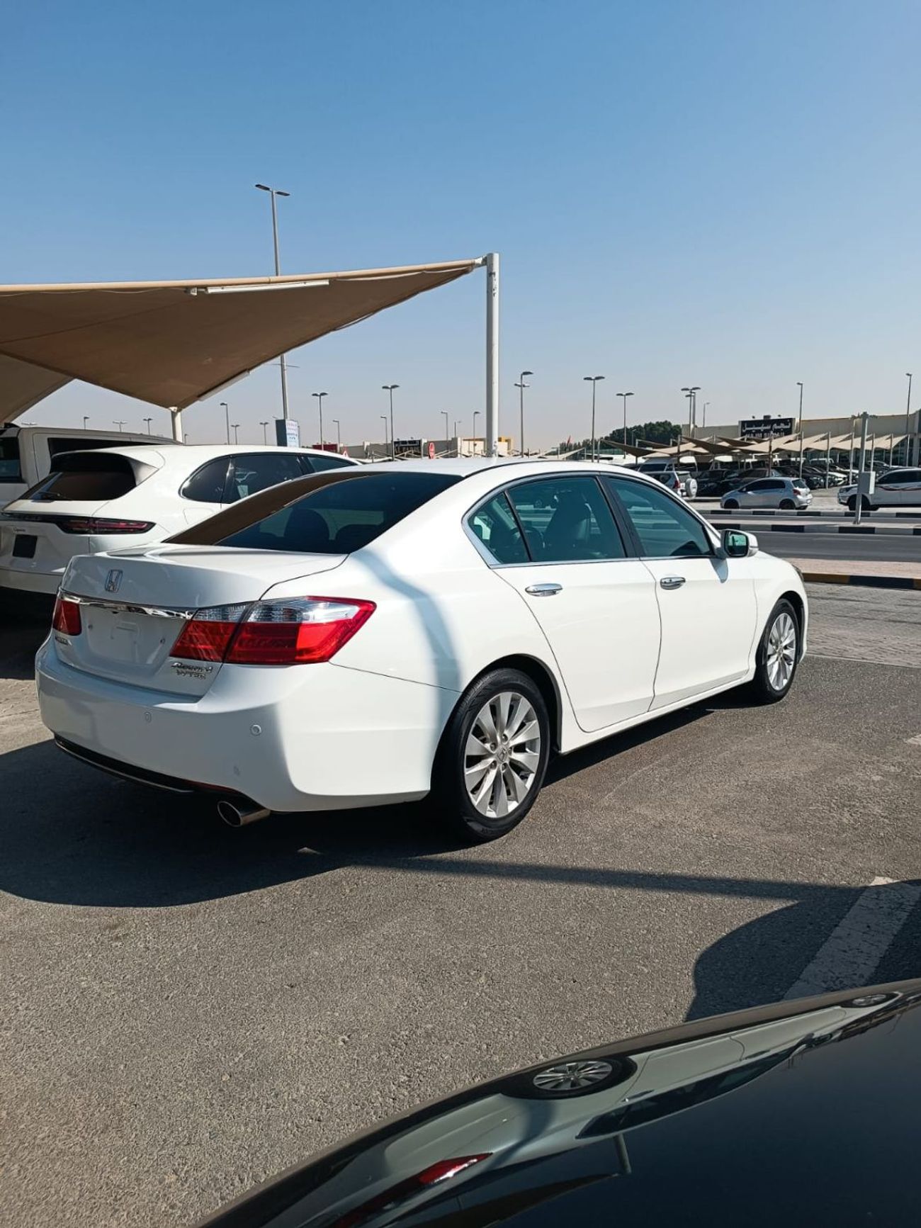 هوندا أكورد