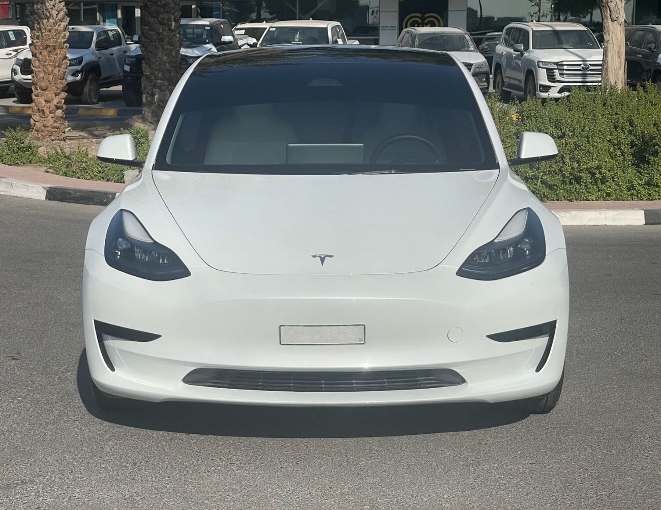 Tesla Model 3 Long Range (AWD)