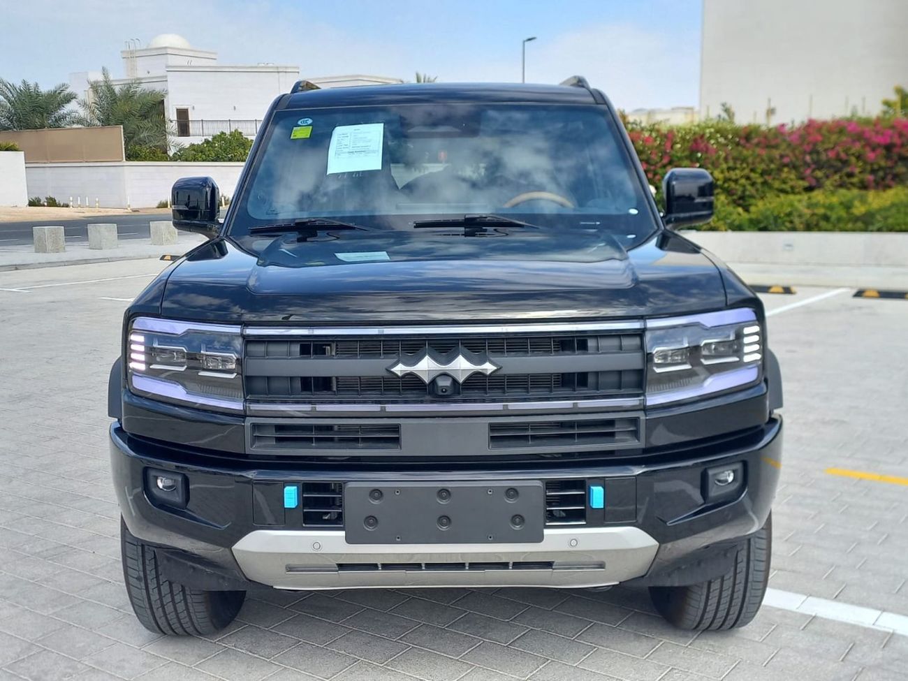 بي واي دي ليوبارد 5