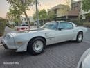 Pontiac Trans Am PACE CAR 301-4V 4.9L TURBO V8 | 1980 | Perfect Condition