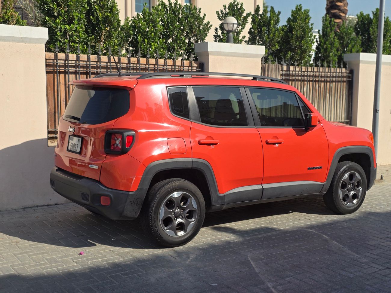 جيب رينيجيد