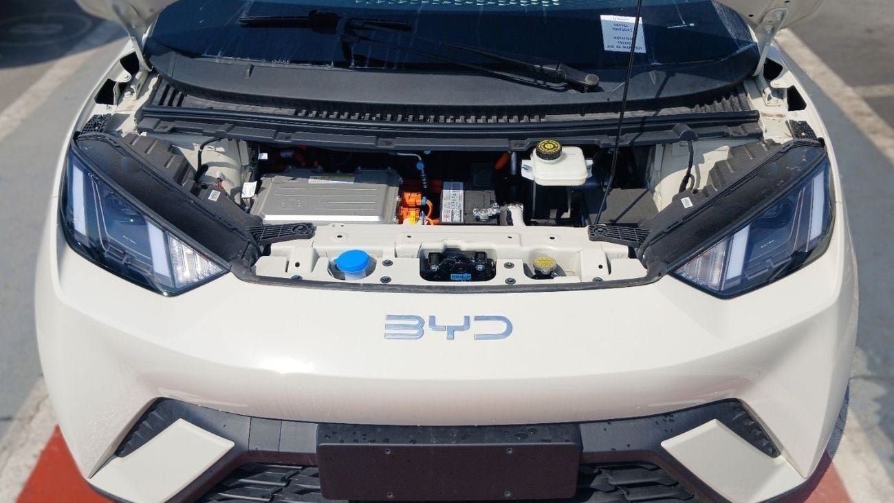 بي واي دي سيجول STD (NON GCC) BYD Seagull Flying 405Km Range 2025YM