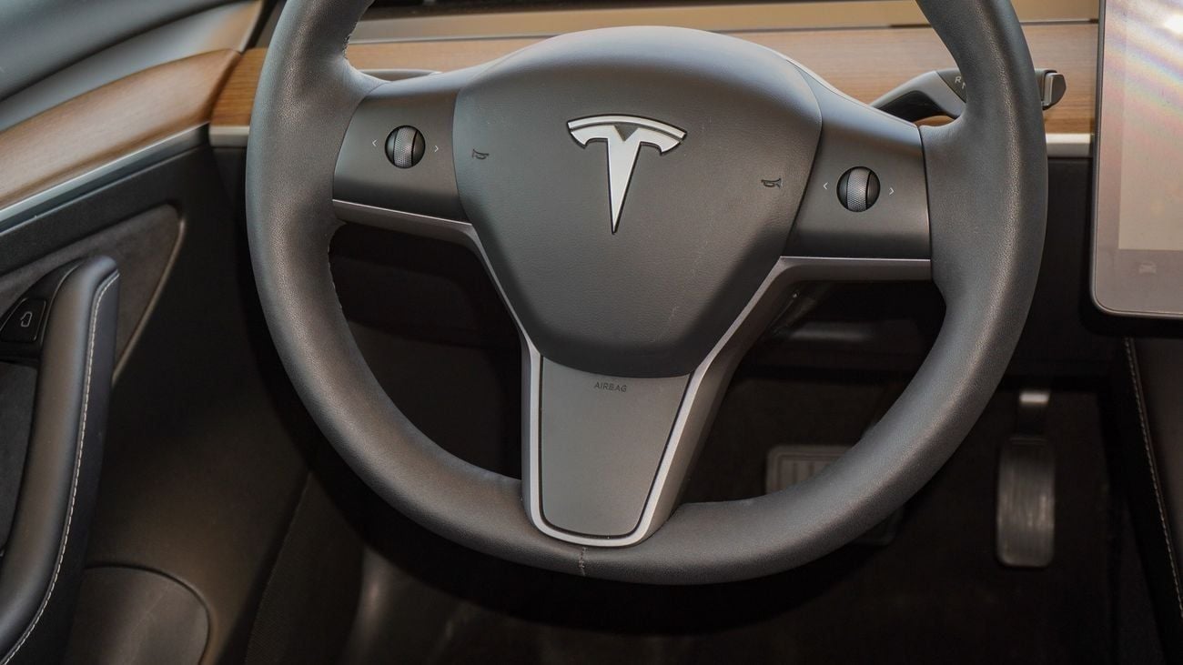 تسلا موديل 3 Rear-Wheel Drive