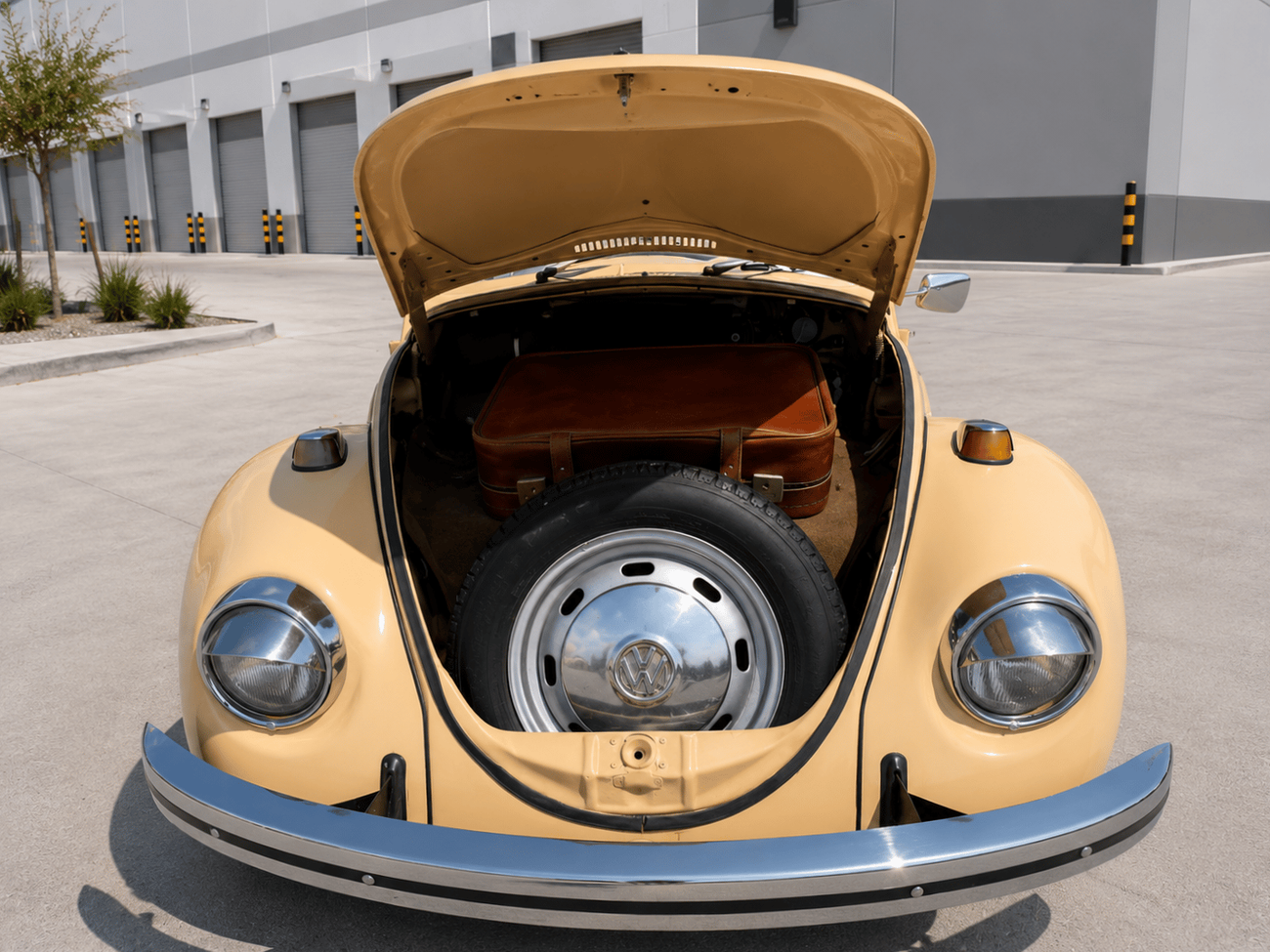 Volkswagen Beetle