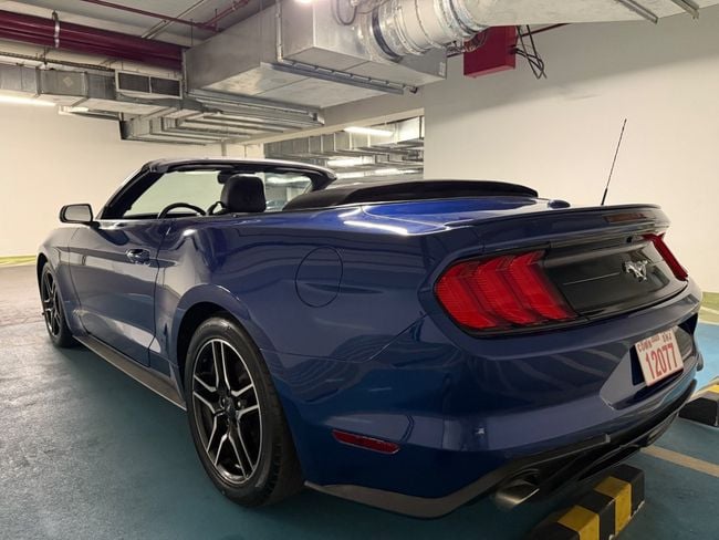 Ford Mustang STANDARD, миниатюра 23