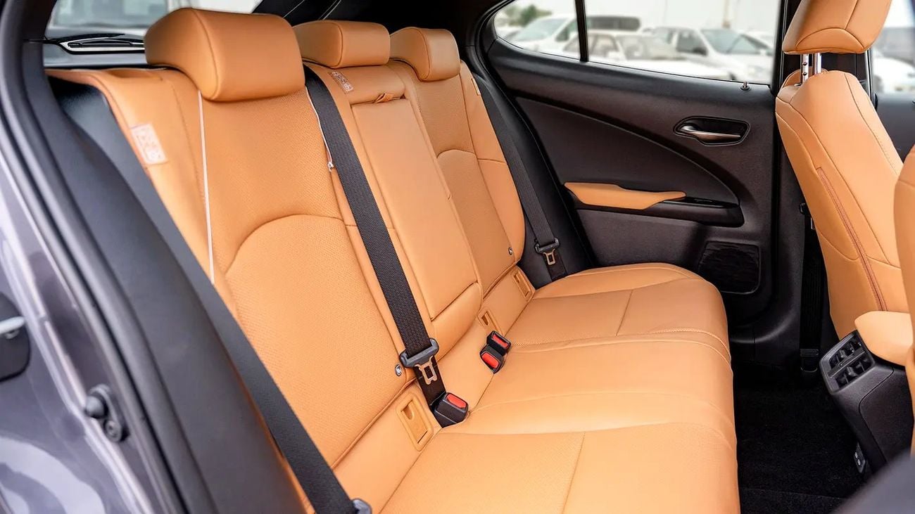 Lexus UX250h UX 250H | 2-YEAR WARRANTY + SERVICE AVAILABLE | IN-HOUSE FINANCING | 0% DOWNPAYMENT (BANK)