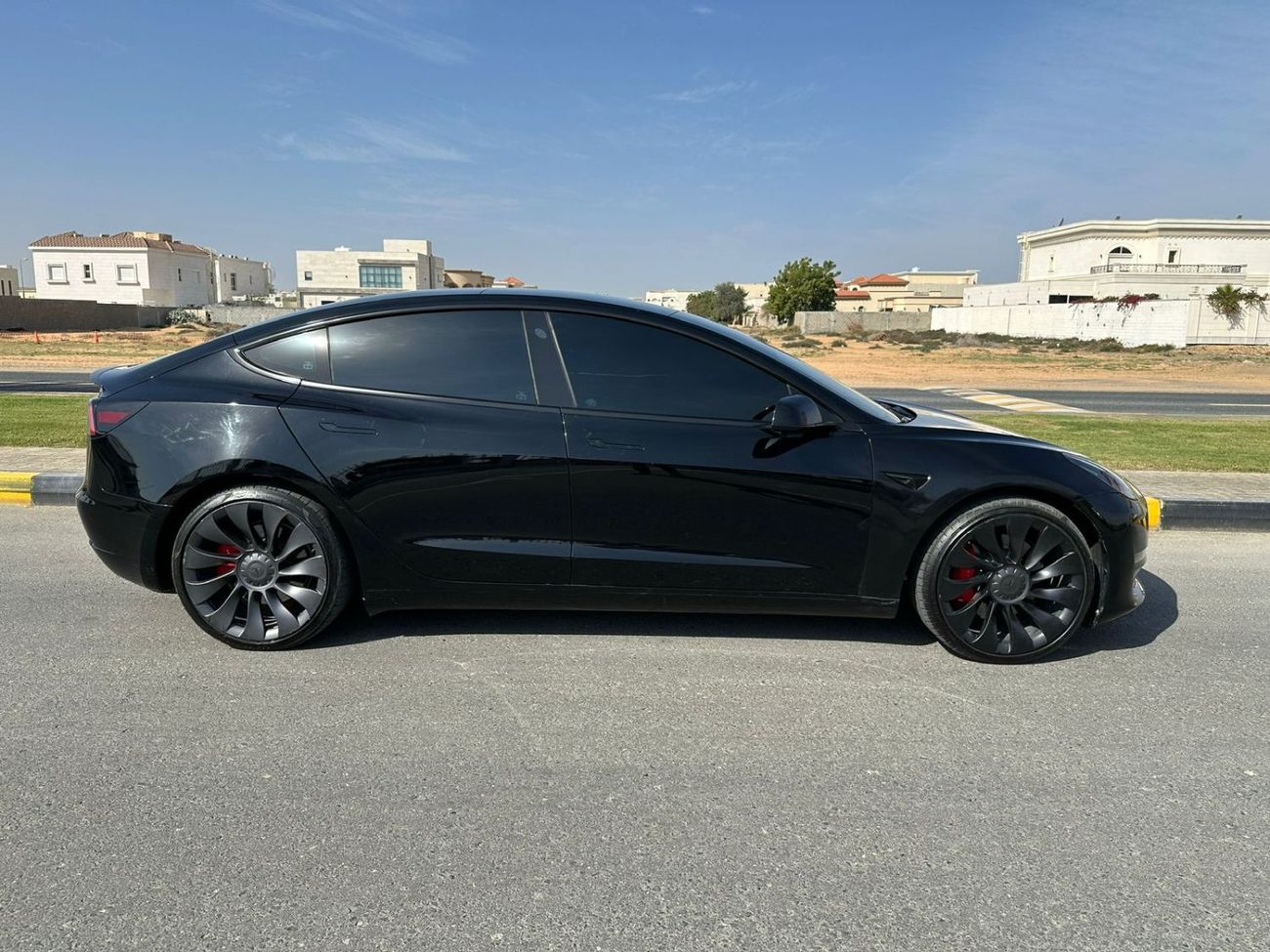 Tesla Model 3 Performance (AWD)