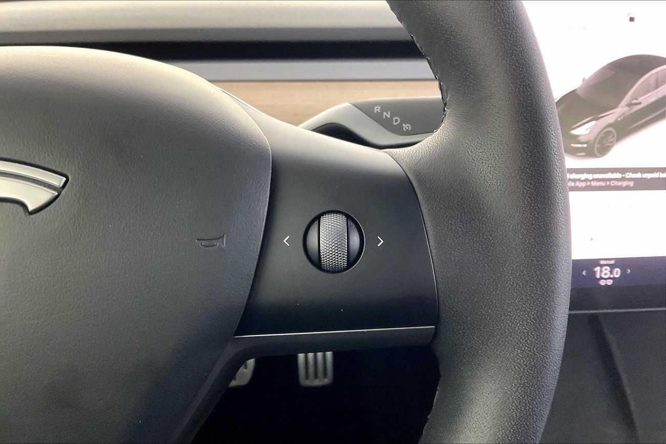 Tesla Model 3 Performance (Dual Motor) | Guaranteed Warranty | 0 Down Payment