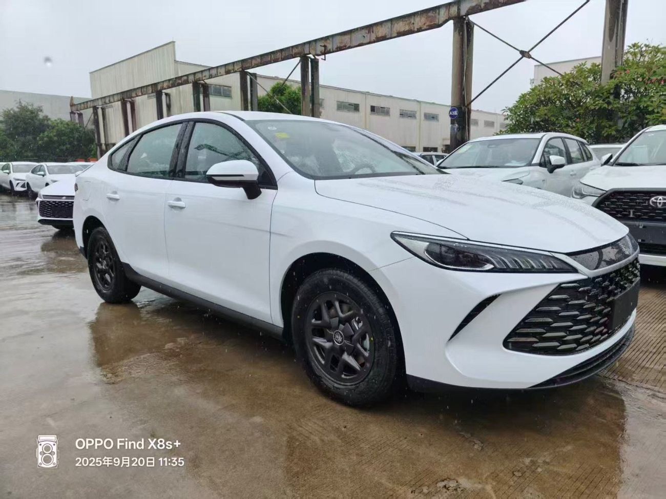 BYD QIN PLUS Byd qin plus DMI55 km