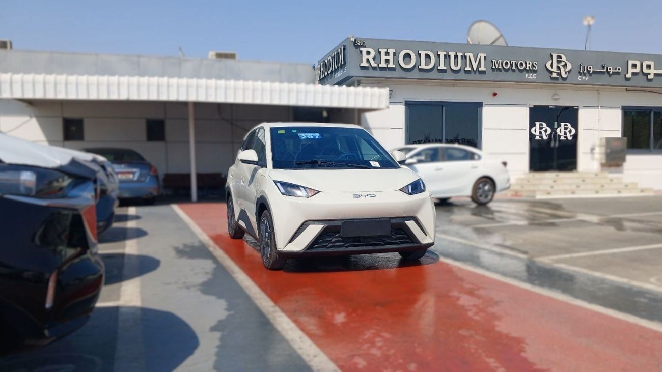 BYD Seagull BYD Seagull Flying 405Km Range 2025YM