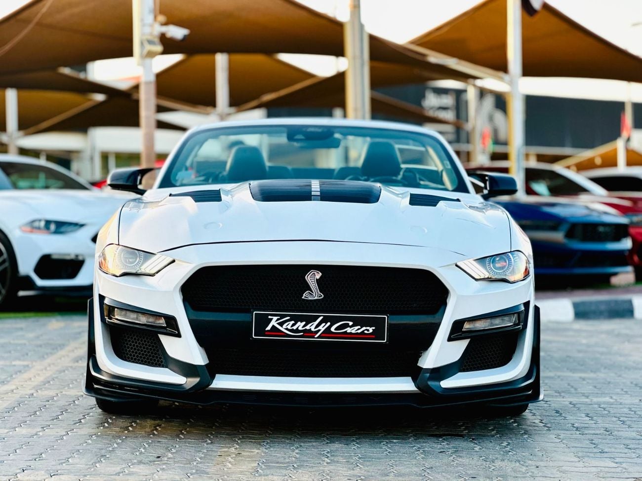 Ford Mustang STD Ecoboost | Monthly 1200/- | 0% DP | Premium Alloys | Fog Lights | # 20269