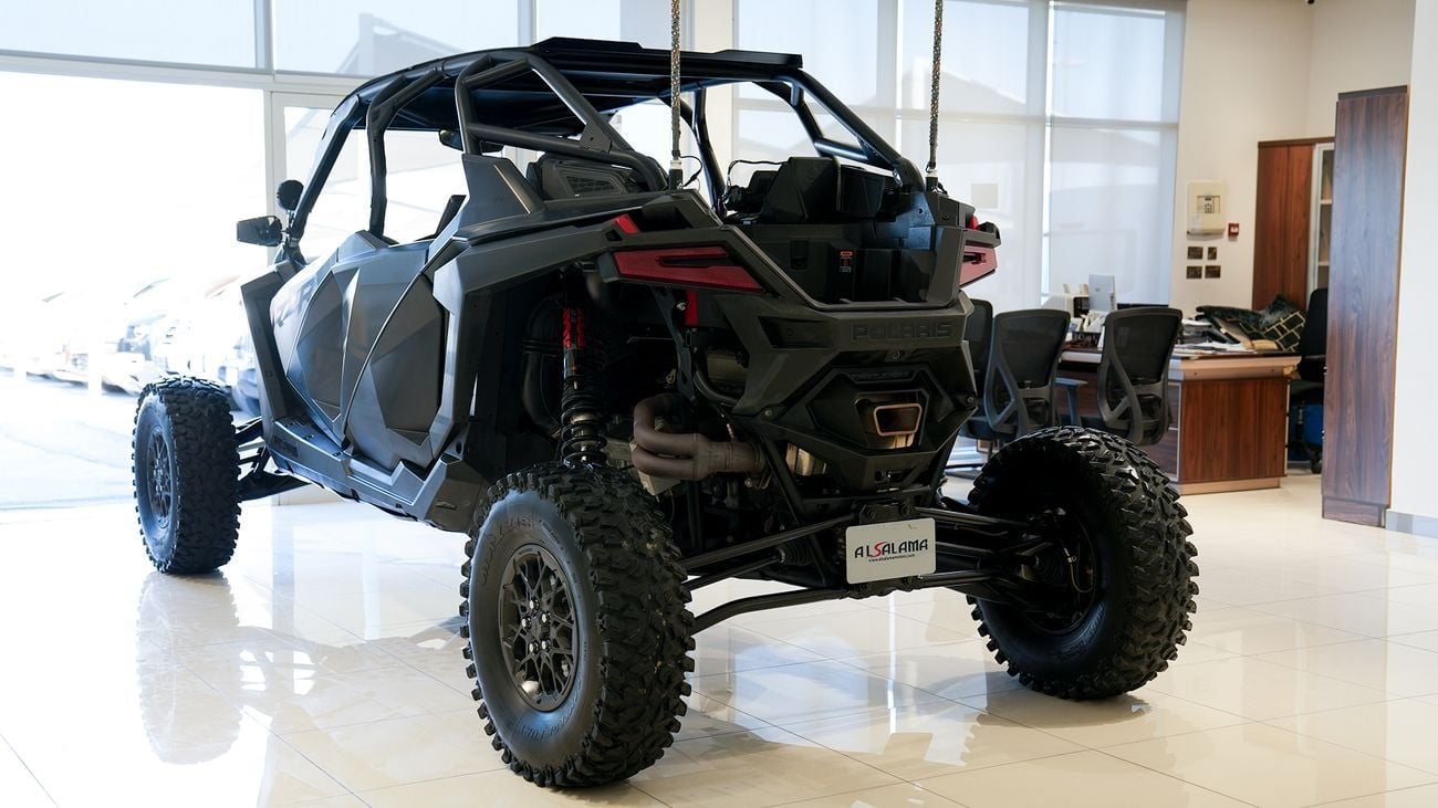 Polaris Dune Buggy STEALTH BLACK