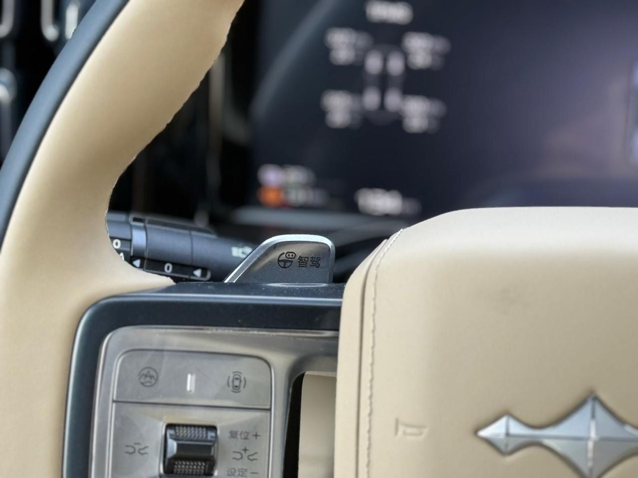 BYD Leopard 5 Leopard 5 Ultra 2 Diff-Lock