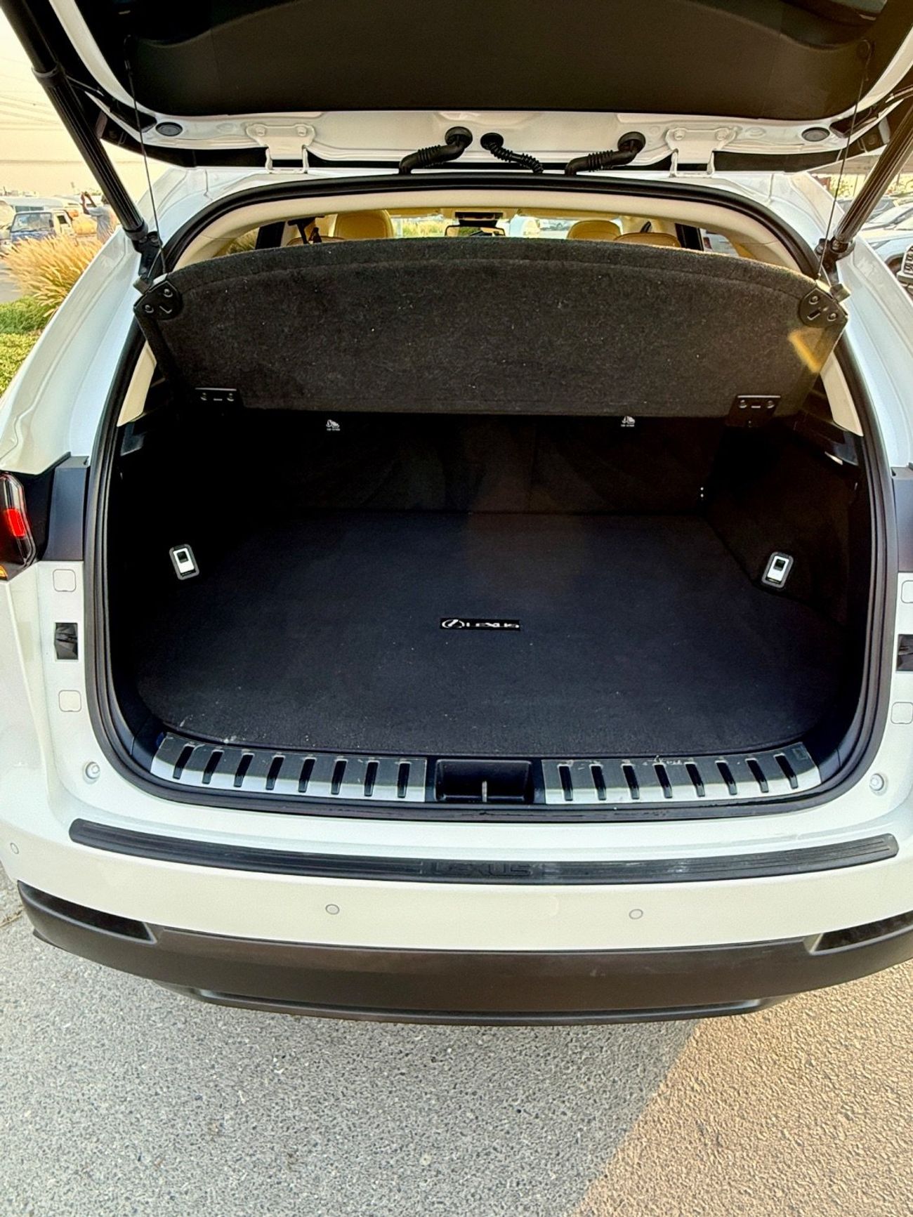 Lexus NX300 Nx300 Full option