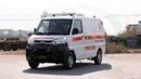 CMC Veryca ( Only For Export ) 2025 CMC Veryca Panel Van 1.5L RWD GCC 0Km