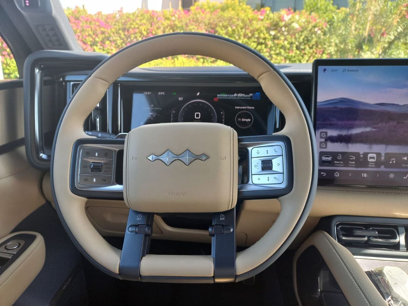 بي واي دي ليوبارد 5