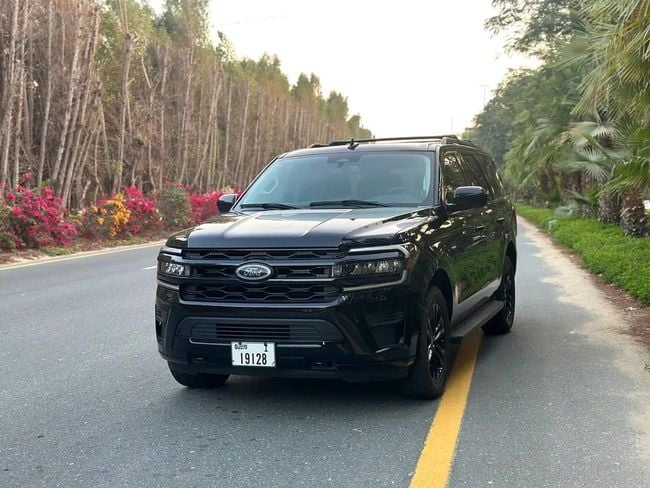 Ford Expedition XLT, миниатюра 23