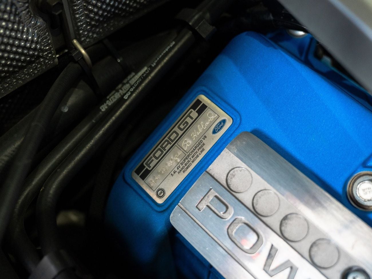 Ford GT Rare 1 of 14 Stripe Delete