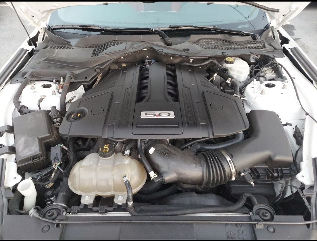 فورد موستانج GT Premium 5.0L V8