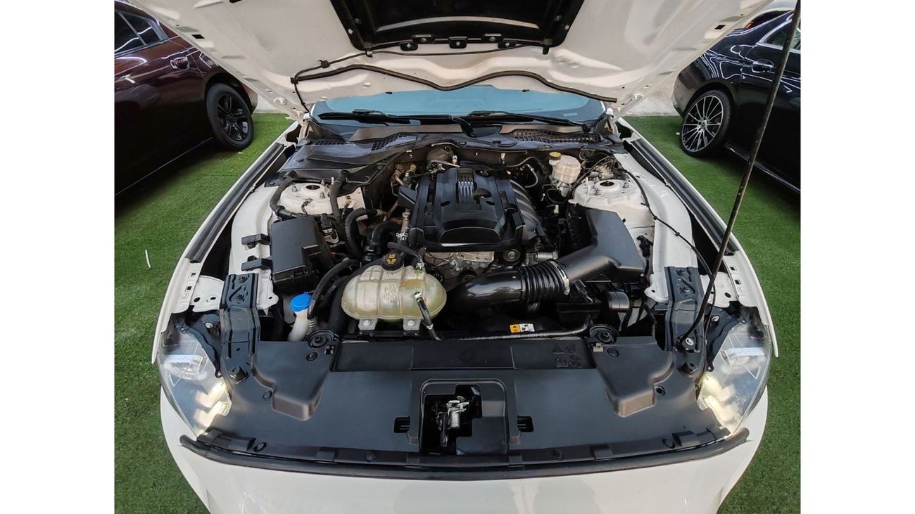 Ford Mustang EcoBoost Warranty 1year bank financie available 0 dawon payment